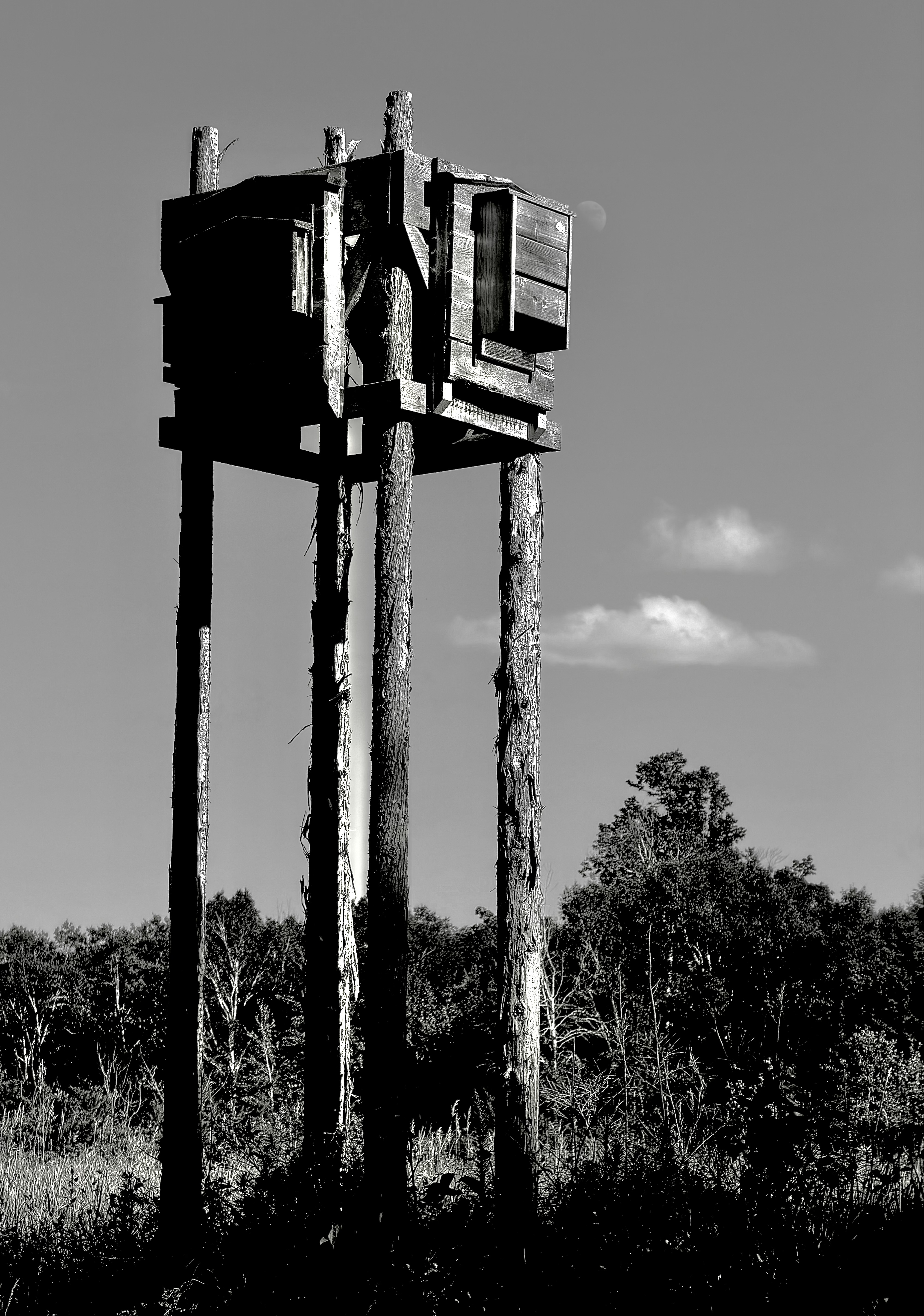 High rise bat house